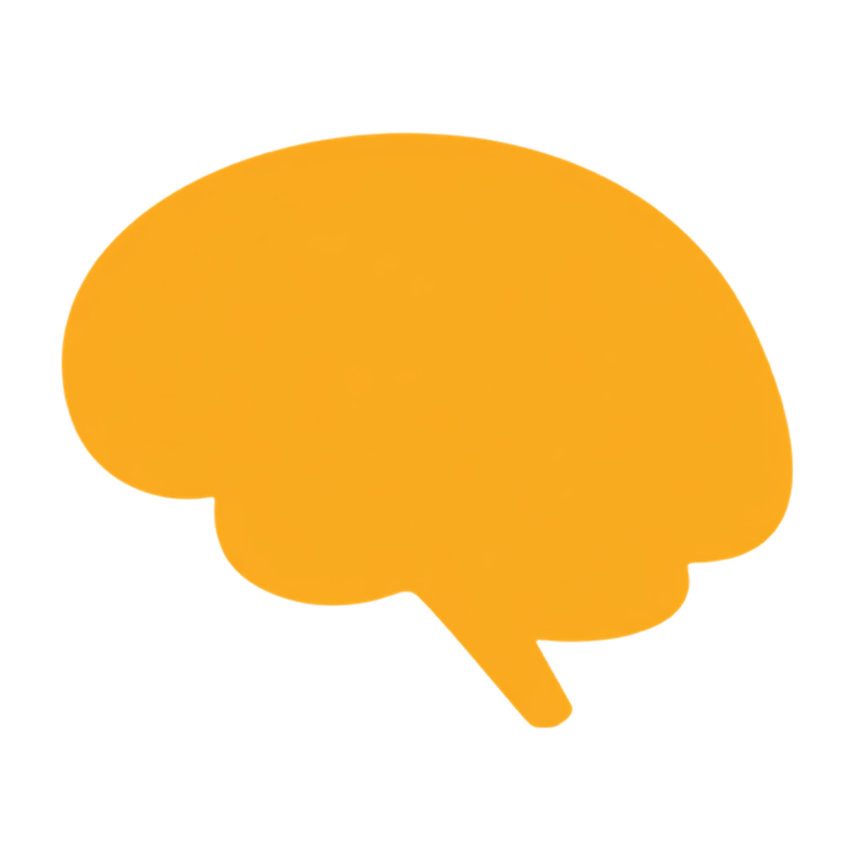 brain